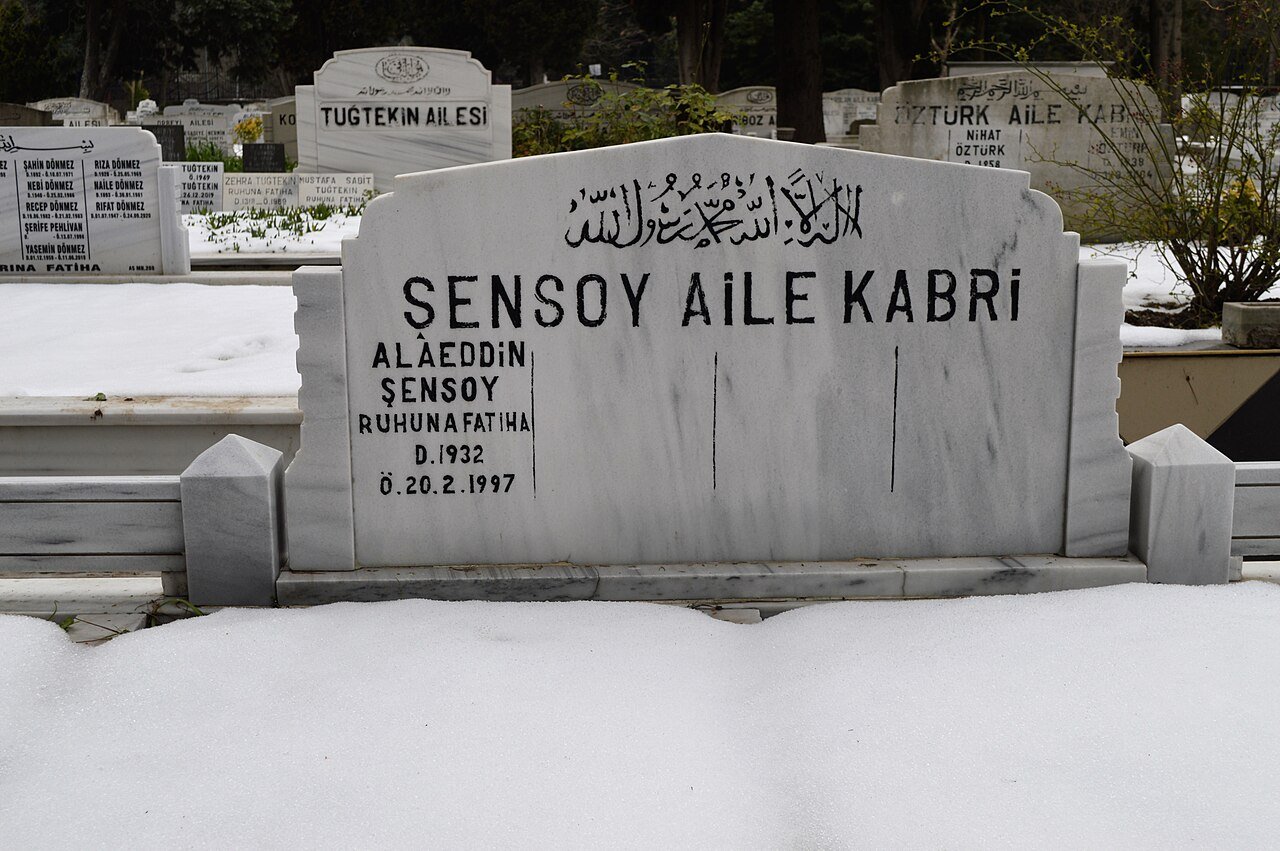 Alaeddin Şensoy