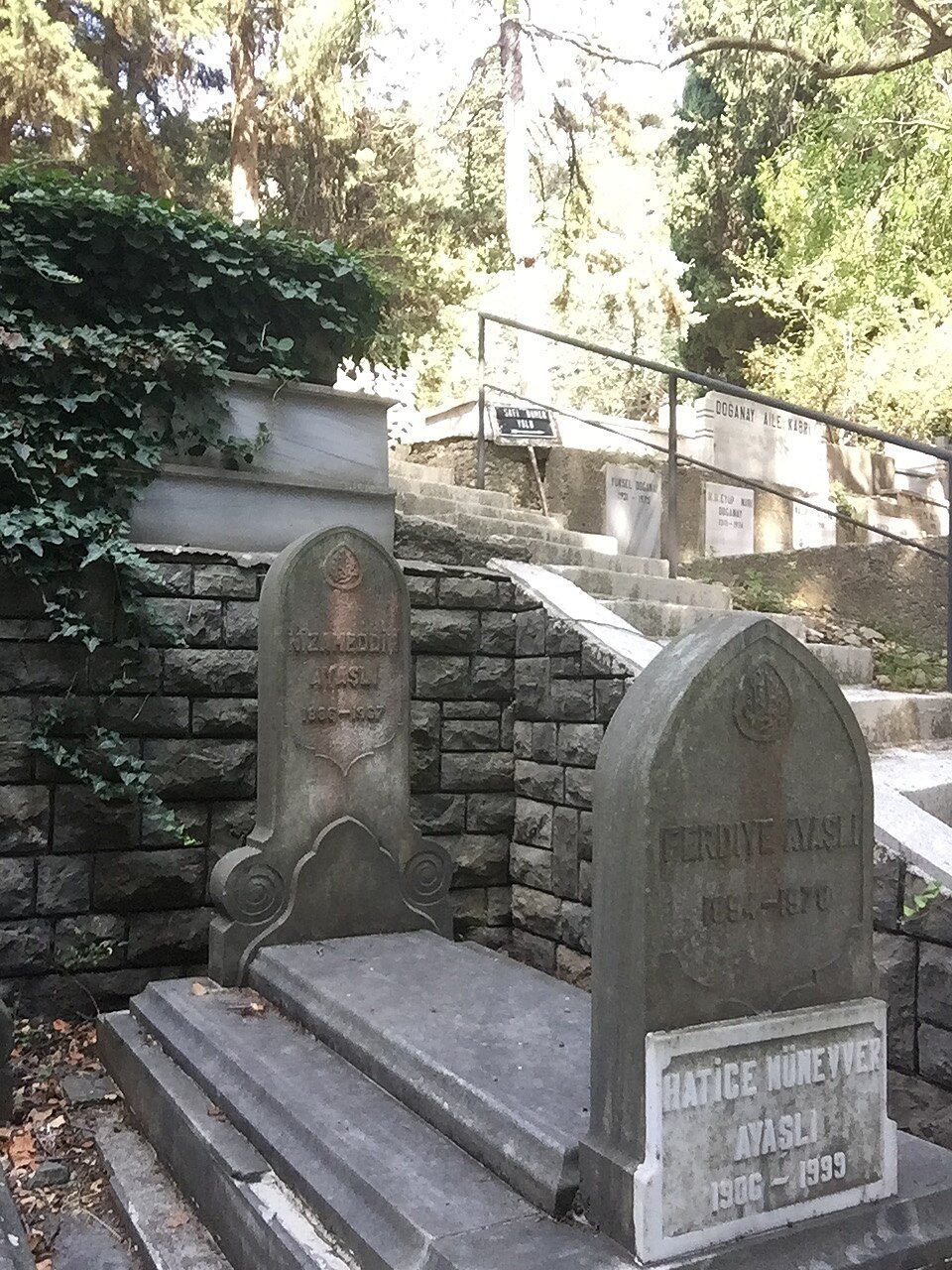 Nizamettin Ayaşlı