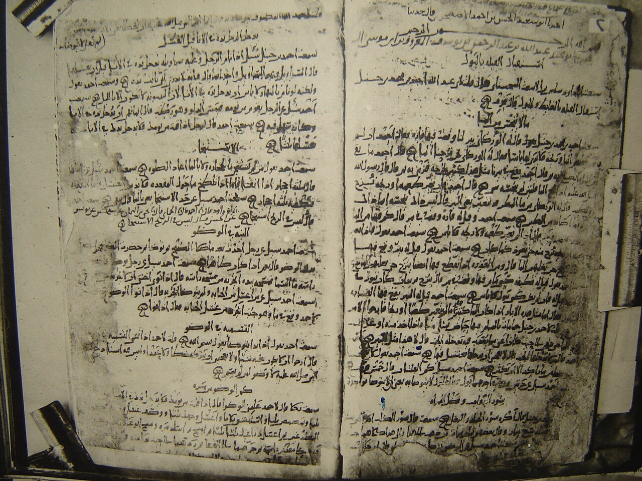 Şeriat