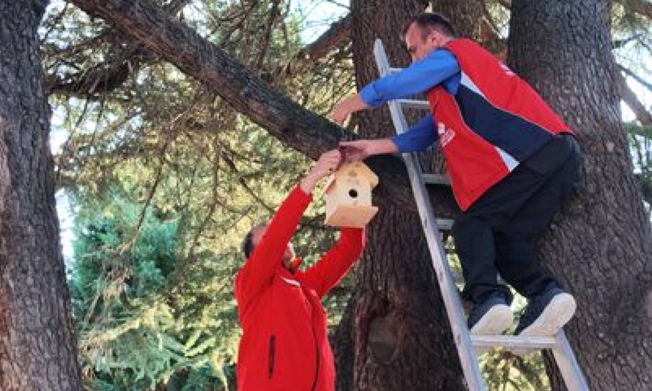 Kastamonu'da kuşlar için yuvalar hazırlandı